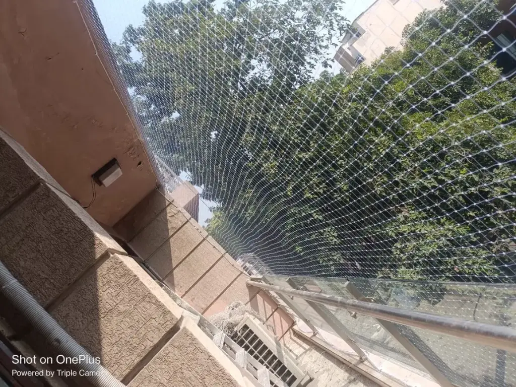 Anti Bird Net Pigeon Net 10feetx8feet 100Sqft (Set of 1)Color White